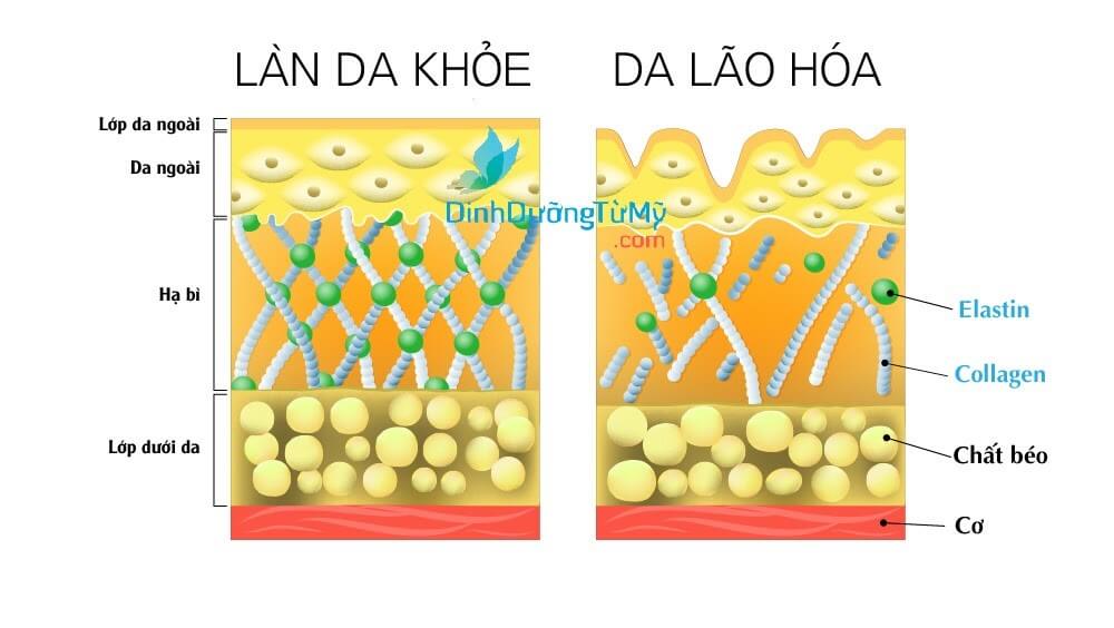 Nguyên nhân cần tìm hiểu cách dưỡng da mặt sau sinh