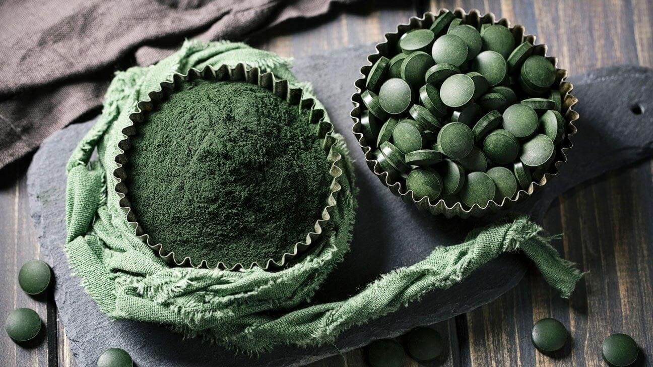 Tảo spirulina chứa cực nhiều chất dinh dưỡng