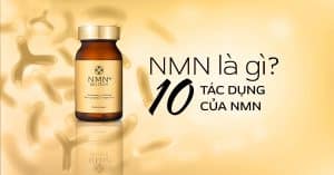 10 tác dụng của NMN